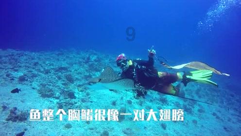 订婚了怎么叫对方父母？游戏画面